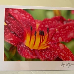 Six (6) different, Flower Photo  Cards (Blank Inside)